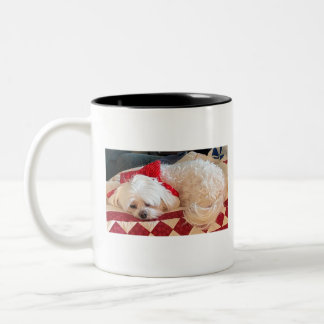 Malteser Hund Zweifarbige Tasse