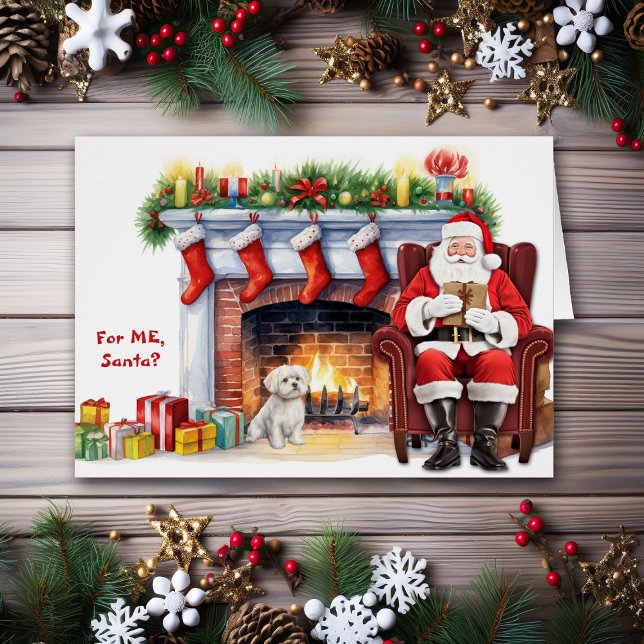 Malteser Hundeschluss des Weihnachtsmanns (Von Creator hochgeladen)