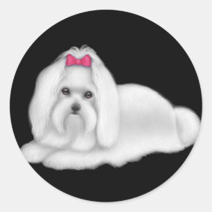 Malteser Hundsticker Roter Bow Runder Aufkleber