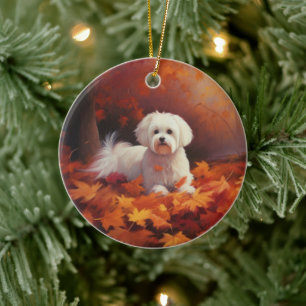 Malteser im Herbst Blätter fallen inspirieren Keramik Ornament