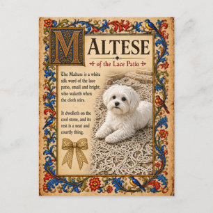 Malteser, mittelalterliche Bestiarien-Kunst Postkarte