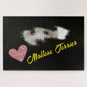 Malteser-Terrier-Augen Einfarbig 1000-Teile-Puzzle