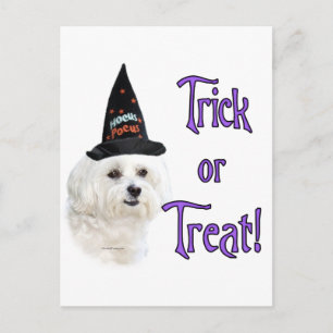Malteser Trick Postkarte