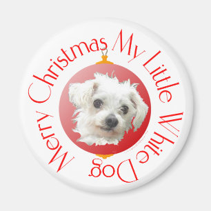 Malteser Weihnachten Kleiner Weißer Hund Magnet