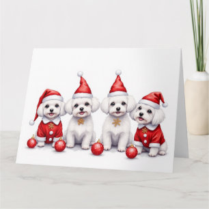 Malteser-Weihnachtskleid Santa-Hut Karte