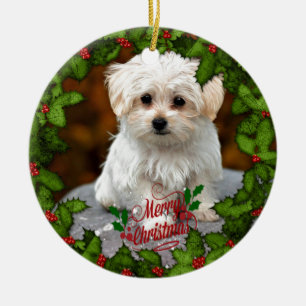 Malteser Weihnachtswelpe Keramik Ornament