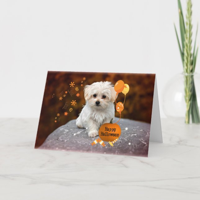 Malteser Welpe Celebrates Halloween Dankeskarte (Vorderseite)