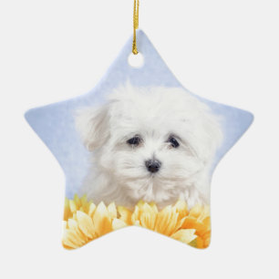 Malteser Welpe Keramikornament