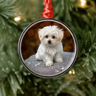 Malteser Welpe Ornament Aus Metall
