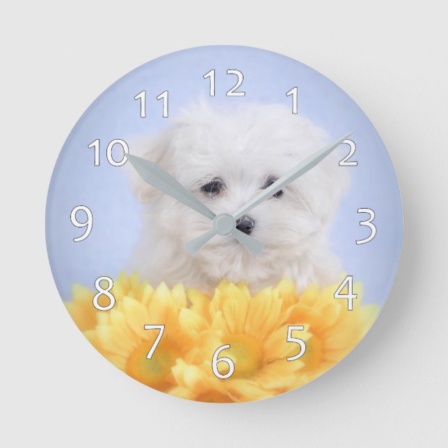 Malteser Welpe Runde Wanduhr (Vorderseite)