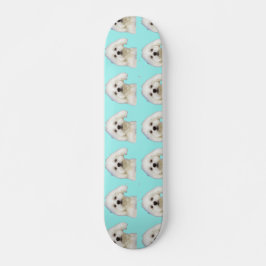 Malteser Welpe Skateboard