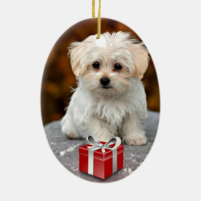 Malteser Welpe zu Weihnachten Keramik Ornament (Hinten)