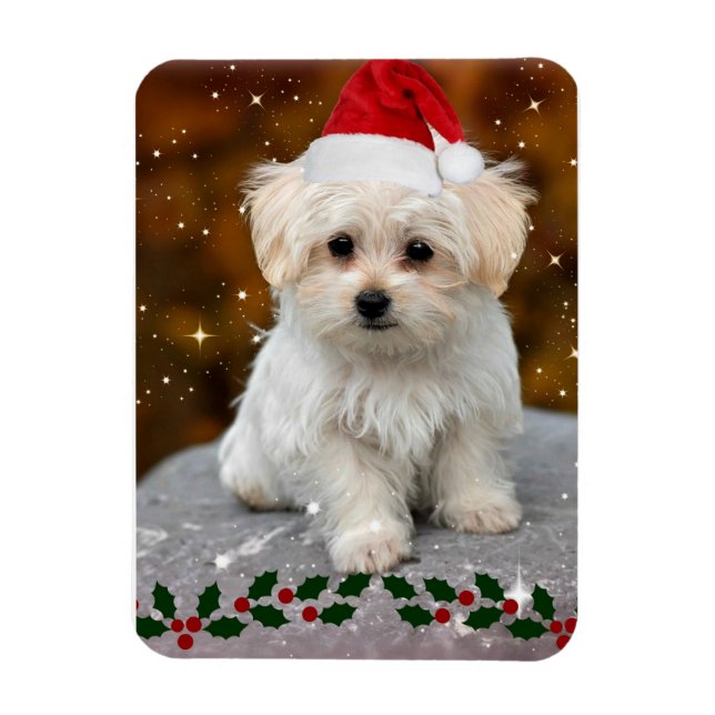 Malteser Welpe zu Weihnachten Magnet (Vertikal)