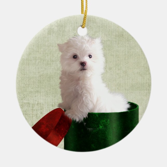 Malteser Welpen Weihnachten Keramikornament (Vorne)