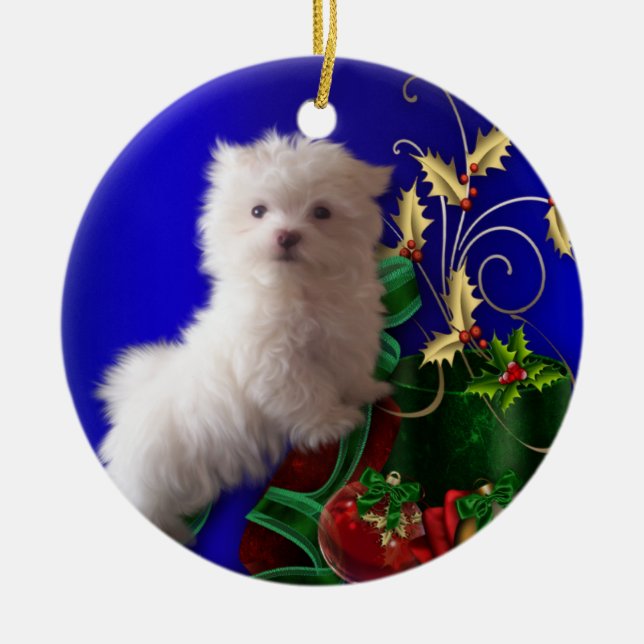 Malteser Welpenhund-Ornament Keramik Ornament (Vorne)