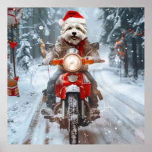 Malteserhund fährt Motorrad Weihnachten Poster