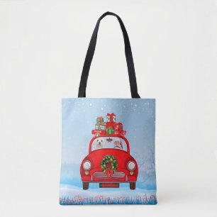 Malteserhund im Auto mit dem Weihnachtsmann Tasche