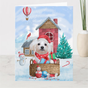 Malteserhund im Schnee Weihnachtshundhaus  Karte