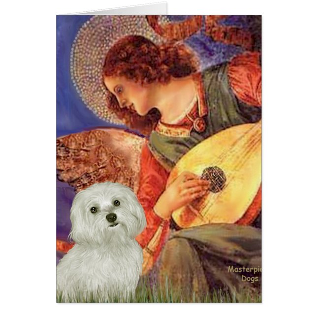 Maltesisch 11 - Mandolin Angel (Vorne)