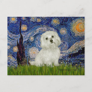 Maltesisch 11 - Starry Night Postkarte