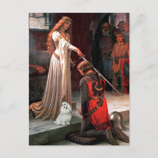 Maltesisch 6 - Die Akkolade Postkarte (Vorderseite)