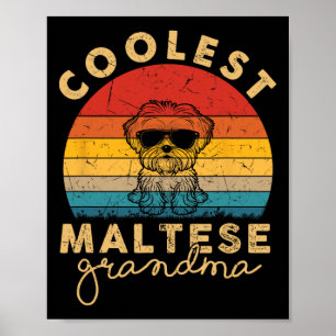 Maltesisch Coolste Oma-Geschenke für maltesische F Poster