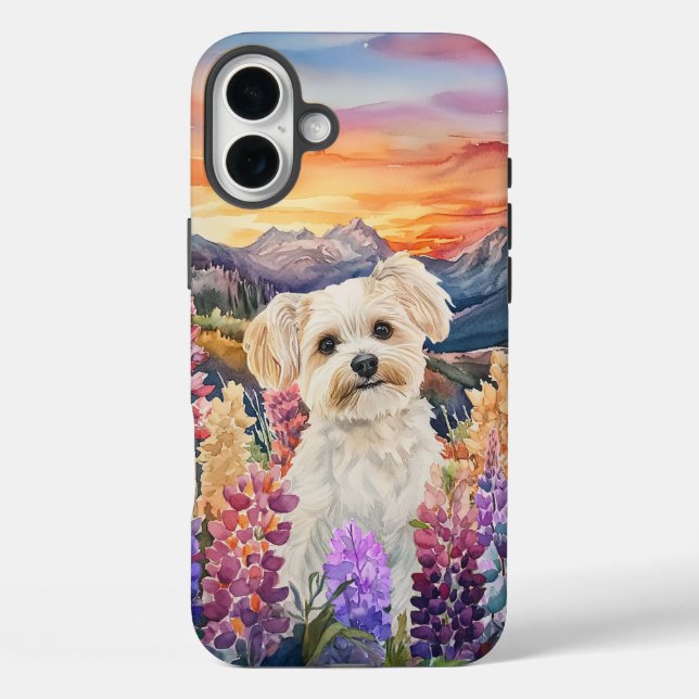 Maltesisch - Fall mit hartem Telefon iPhone 16 Plus Hülle (Rückseite)