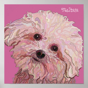 Maltesisch in dazzling Colors Poster