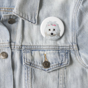 Maltesisch in White Adorable Puppy Wonder Button