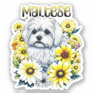 Maltesisch klein: Weiße Hundebraue in gelben Blume Aufkleber