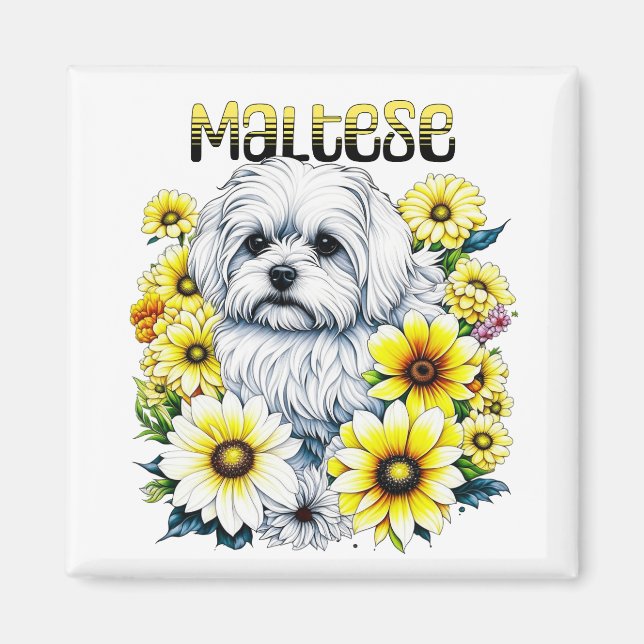 Maltesisch klein: Weiße Hundebraue in gelben Blume Magnet (Vorne)