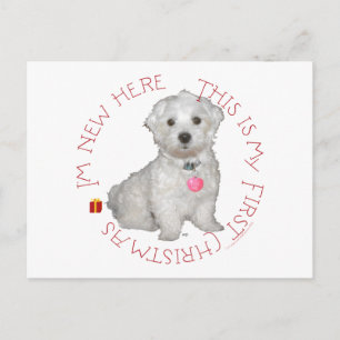 Maltesisch Pup First Christmas Feiertagspostkarte