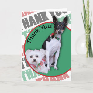 Maltesisch und Fox Terrier Vielen Dank Dankeskarte