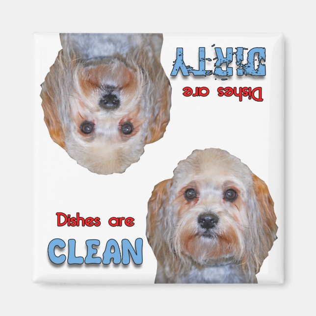 Maltesisch Yorkie Mix Dog Lovers Geschirrspülmasch Magnet (Vorne)