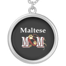 Maltesische Hunde-Mama