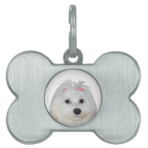 Maltesische Liebe Niedlich Dog Lili Tiermarke