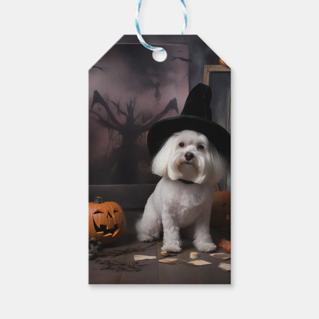 Maltesische Pumpkins Halloween Beängstigend Geschenkanhänger (Vorderseite)