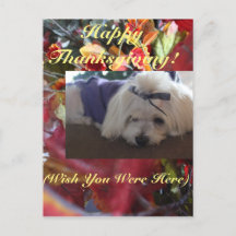 Maltesische Saisons Blätter Design