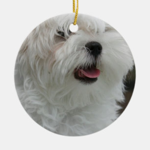 Maltesische Verzierung Keramik Ornament