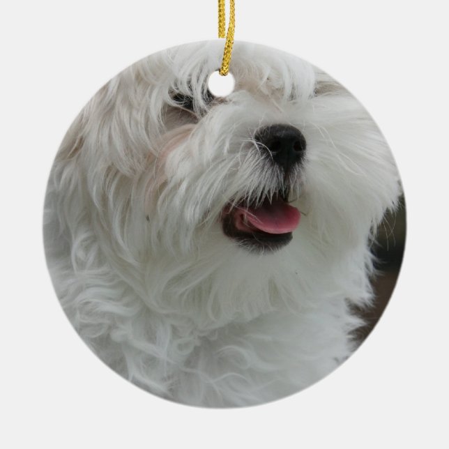 Maltesische Verzierung Keramik Ornament (Vorne)