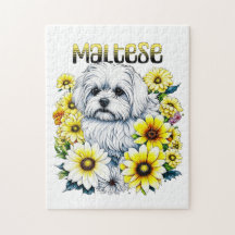 Maltesische Wasserfarbe i Art für Hundebesitzer