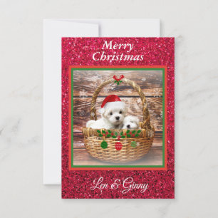 Maltesische Weihnachtswelpen-Vorlage Dankeskarte