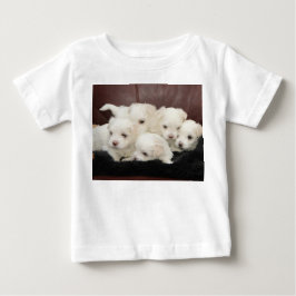 Maltesische Welpen - Fünf davon auf T - Shirt