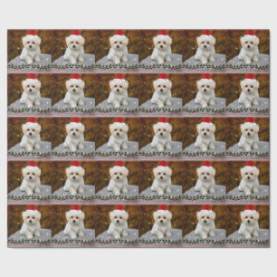 Maltesische Welpenweihnachtszeit, niedlich und kus Geschenkpapier