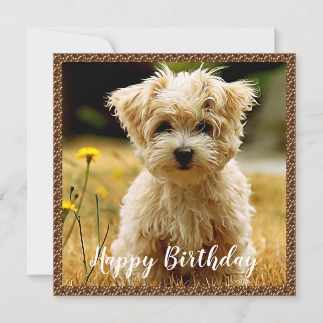 Maltesische Welppy Happy Birthday Card Dankeskarte (Vorderseite)
