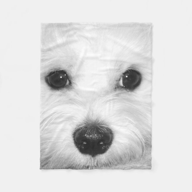 Maltesischer Charm Adorable Eyes and Nose Fleecedecke (Vorderseite)