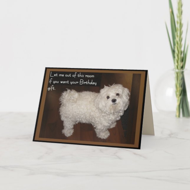 Maltesischer Geburtstags-Spaß Karte (Vorderseite)