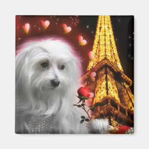 Maltesischer Hund Eiffelturm DER SPARK DER LIEBE! Magnet