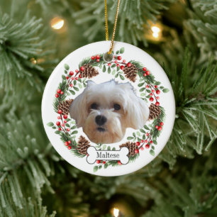 maltesischer Hund Keramik Ornament
