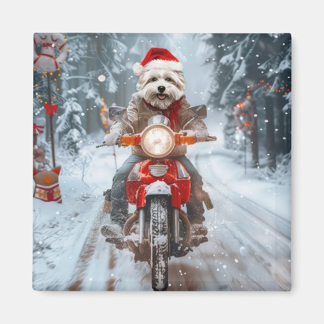 Maltesischer Hund reitend Motorrad Weihnachten Magnet (Vorne)